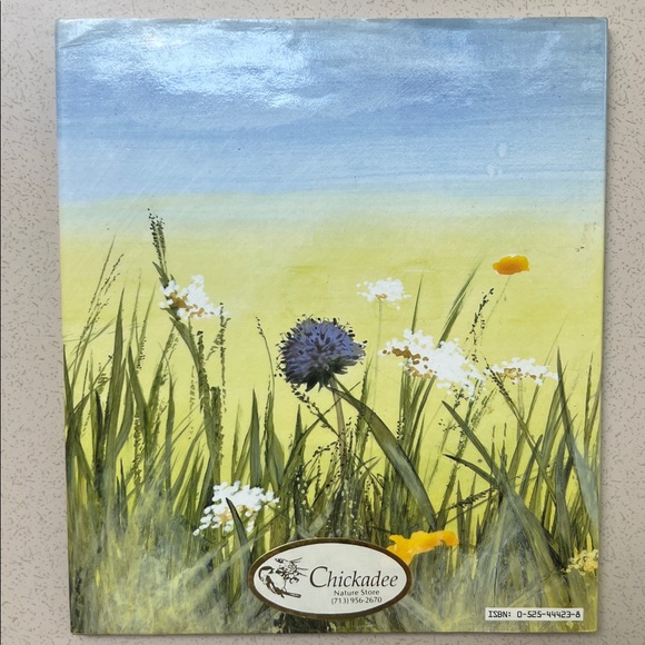 Children’s Book Ladybug, Ladybug by Ruth Brown
First American Edition c.1988 - Picture 2 of 15